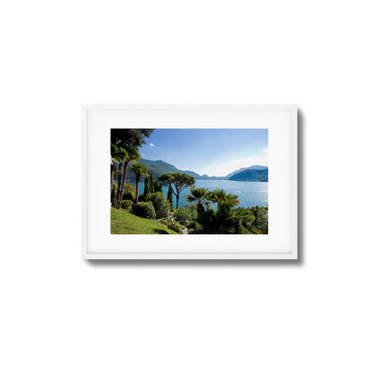 Lakeside Pines Framed Art