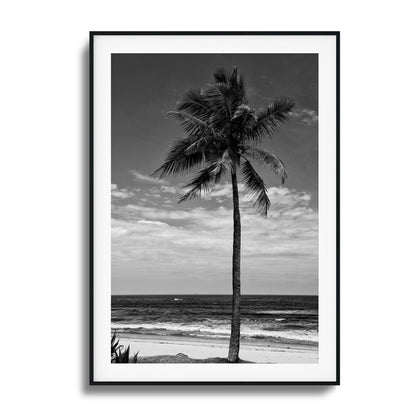 Lone Palm Black and White Framed Art - Assure Spark