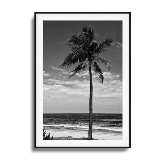 Lone Palm Black and White Framed Art
