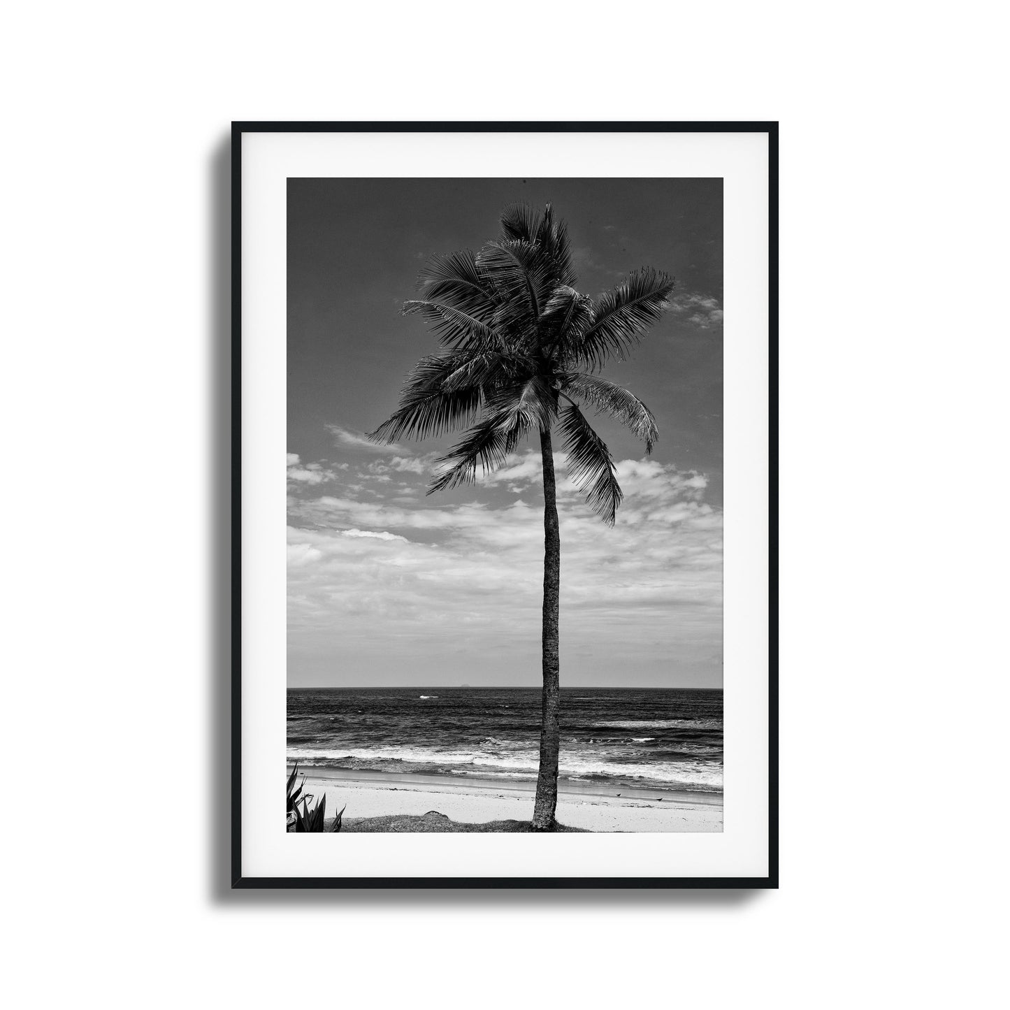 Lone Palm Black and White Framed Art
