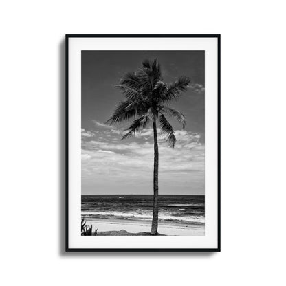 Lone Palm Black and White Framed Art