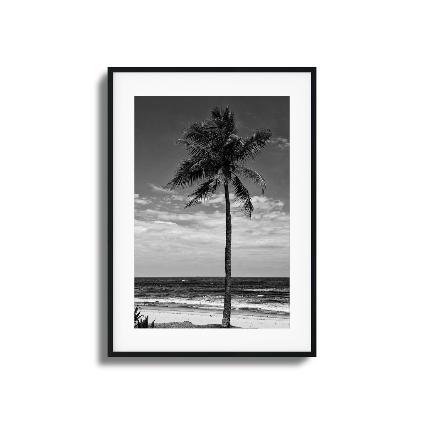 Lone Palm Black and White Framed Art