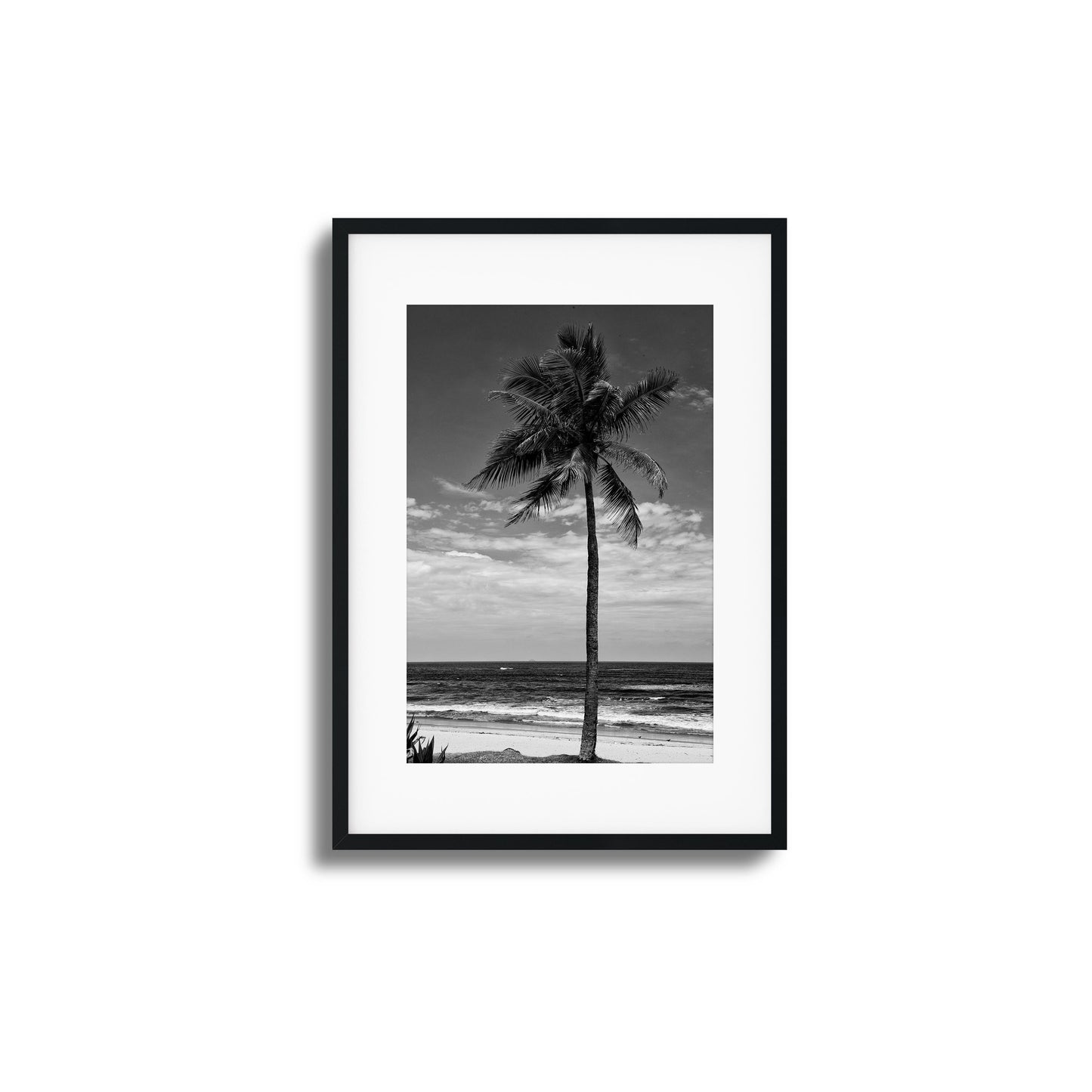 Lone Palm Black and White Framed Art