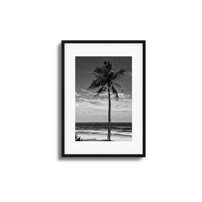 Lone Palm Black and White Framed Art