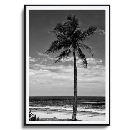 Lone Palm Black and White Framed Art
