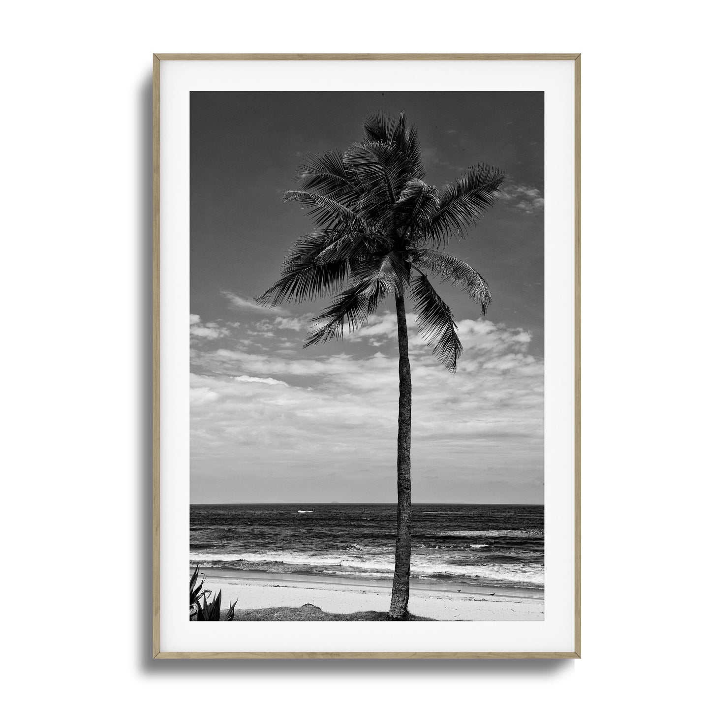 Lone Palm Black and White Framed Art