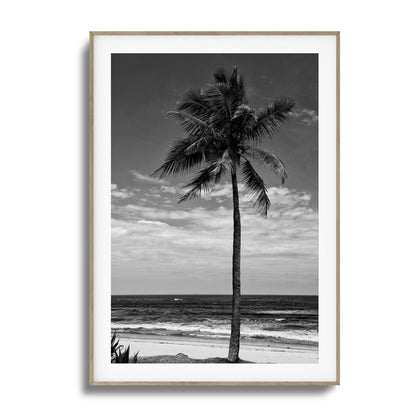 Lone Palm Black and White Framed Art