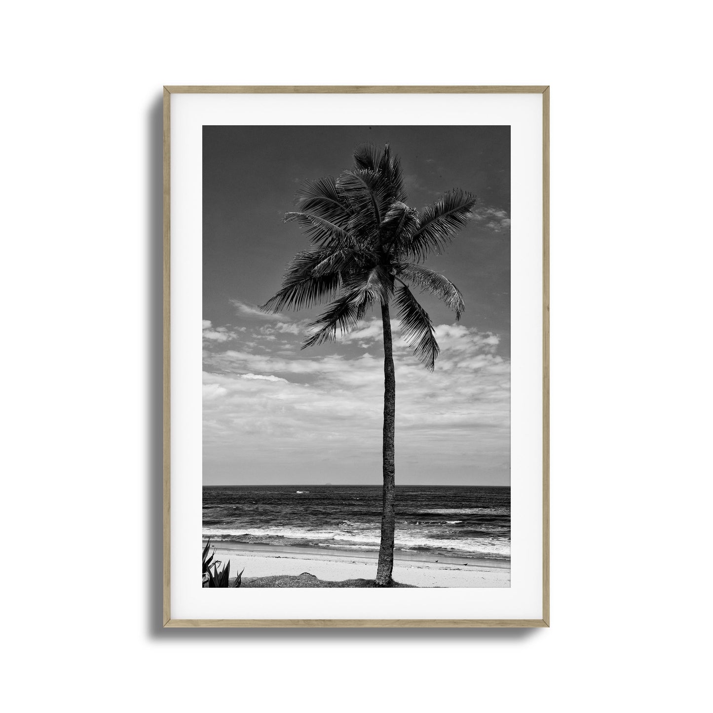 Lone Palm Black and White Framed Art