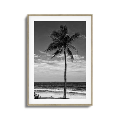 Lone Palm Black and White Framed Art