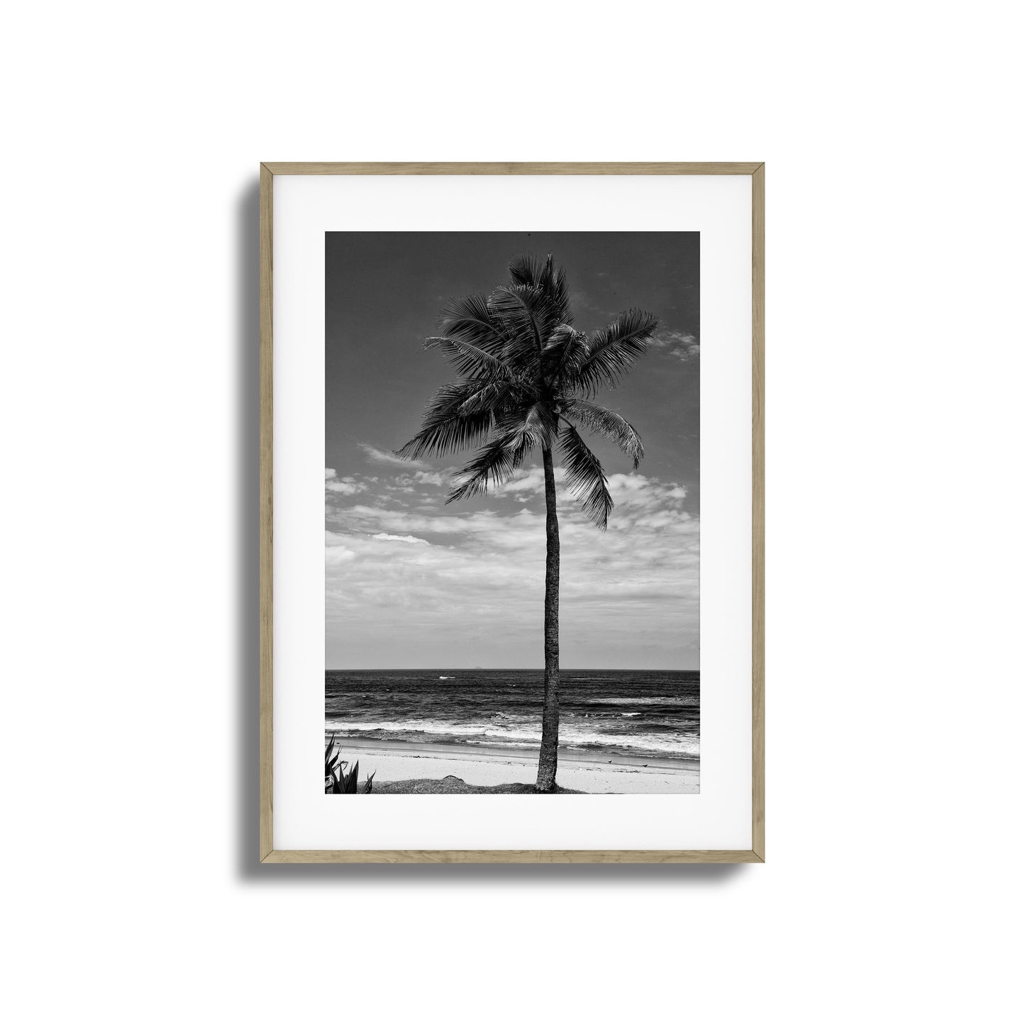 Lone Palm Black and White Framed Art