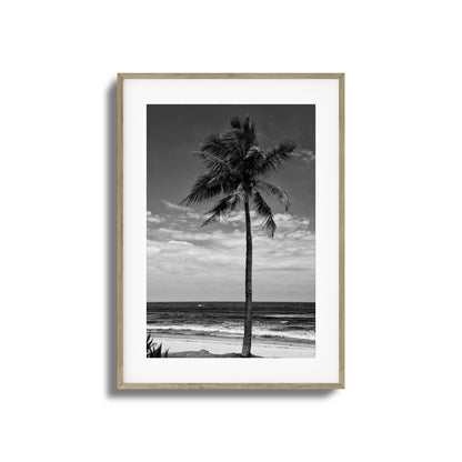 Lone Palm Black and White Framed Art