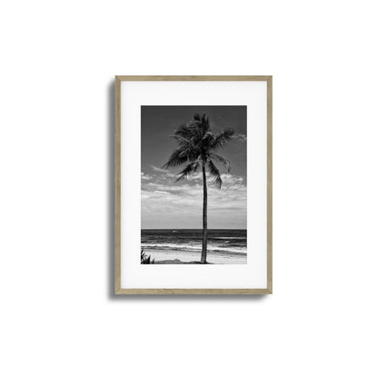 Lone Palm Black and White Framed Art