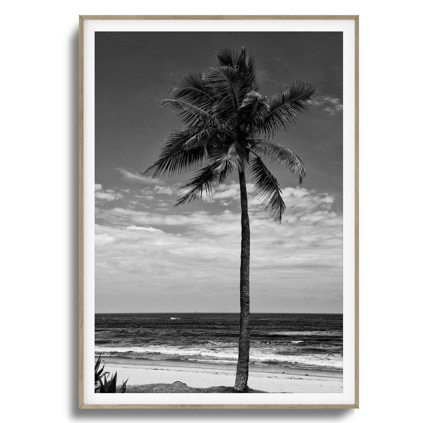 Lone Palm Black and White Framed Art