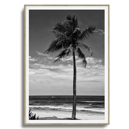 Lone Palm Black and White Framed Art