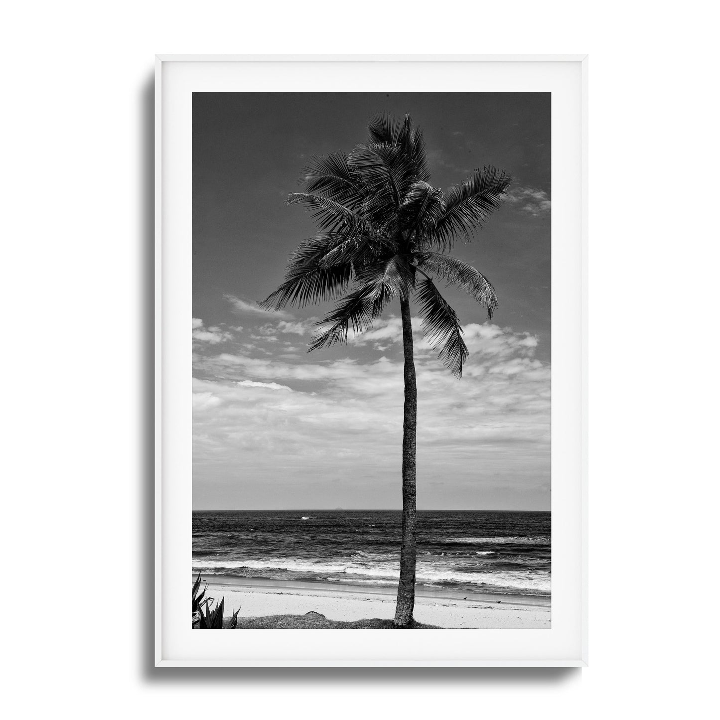 Lone Palm Black and White Framed Art