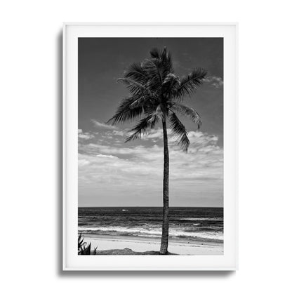 Lone Palm Black and White Framed Art
