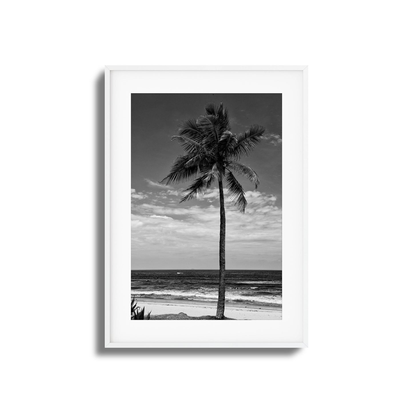 Lone Palm Black and White Framed Art
