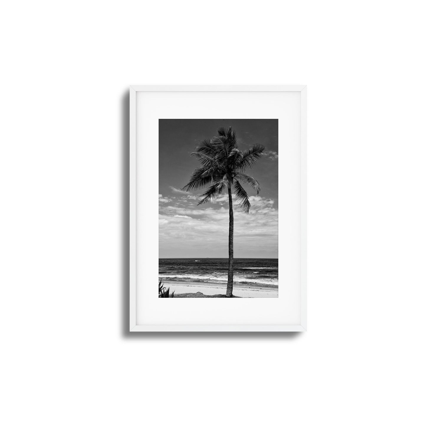 Lone Palm Black and White Framed Art