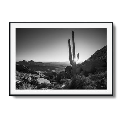 Mesa Framed Art - Assure Spark