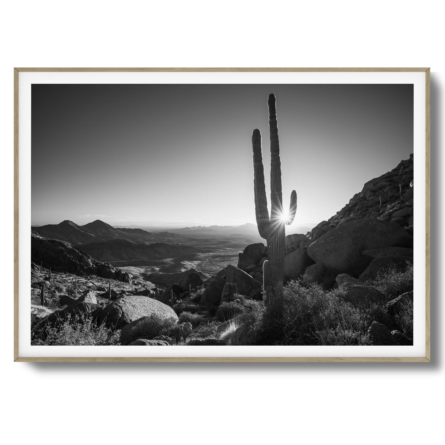 Mesa Framed Art