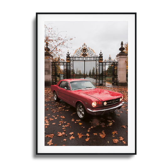 Mustang Framed Art