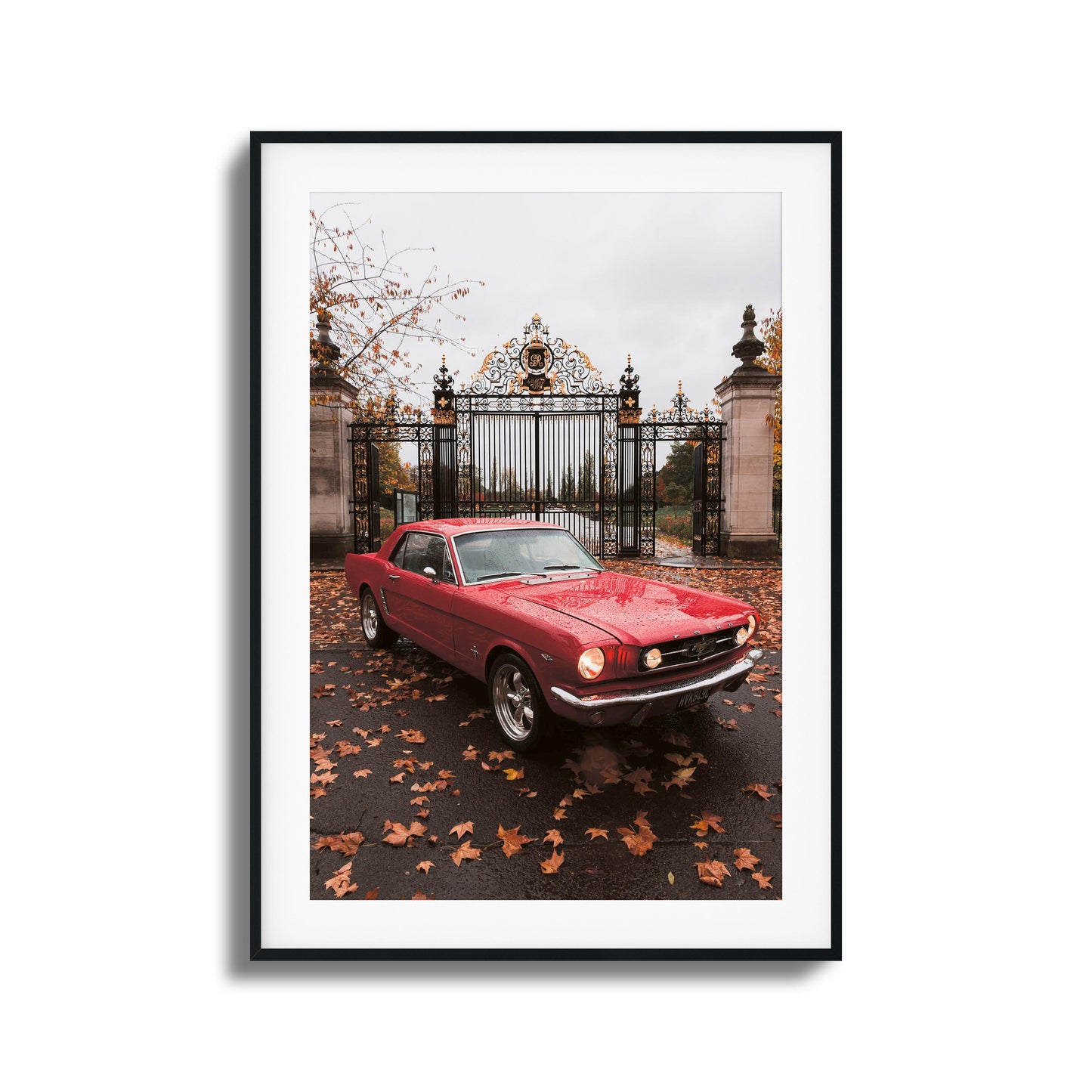 Mustang Framed Art