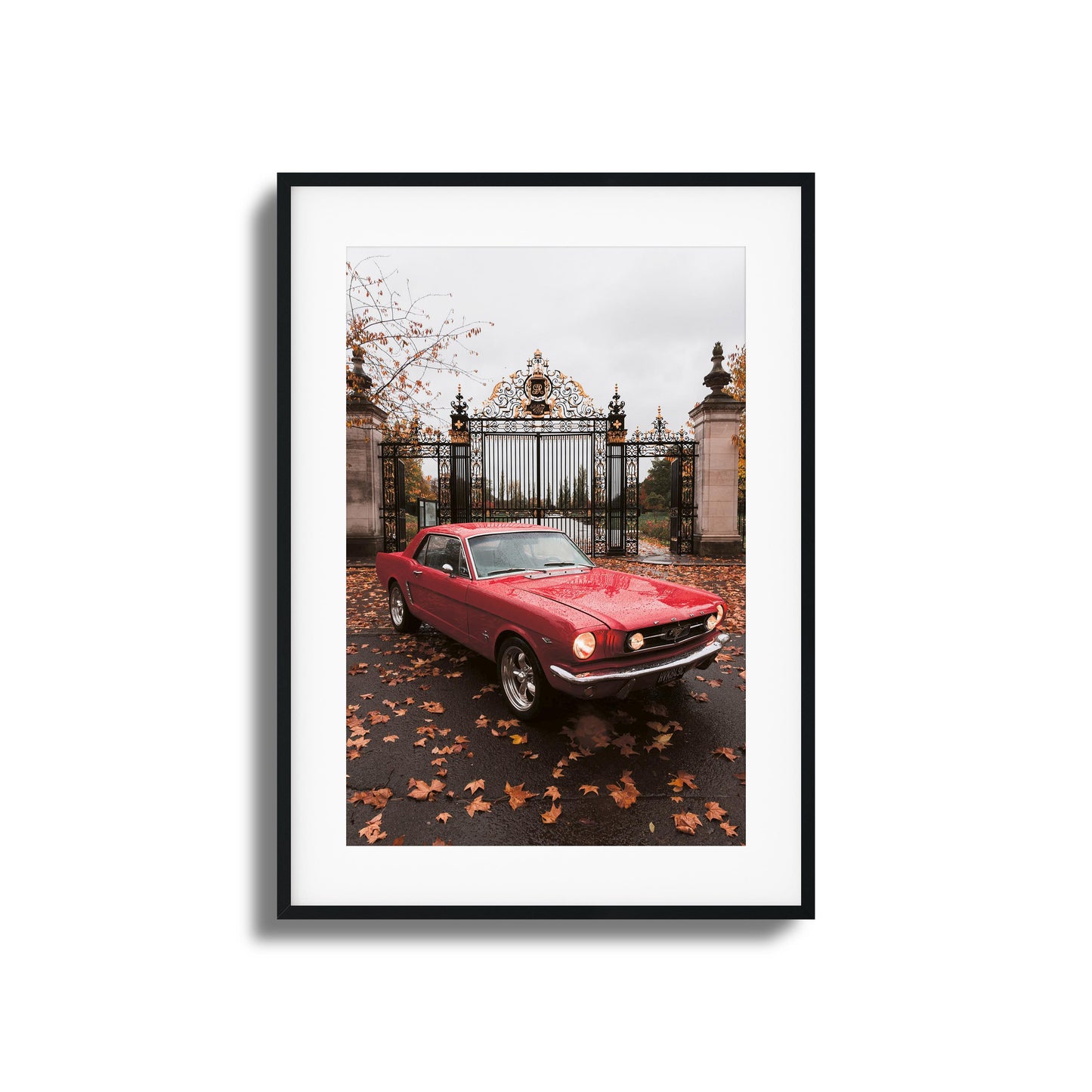 Mustang Framed Art