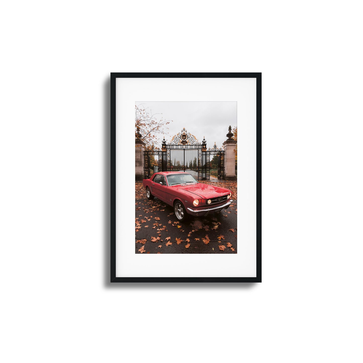 Mustang Framed Art