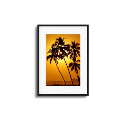 Palm Silhouettes at Sunset Framed Art