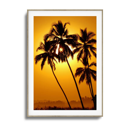 Palm Silhouettes at Sunset Framed Art
