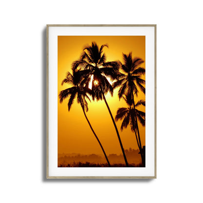 Palm Silhouettes at Sunset Framed Art