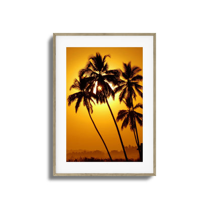 Palm Silhouettes at Sunset Framed Art