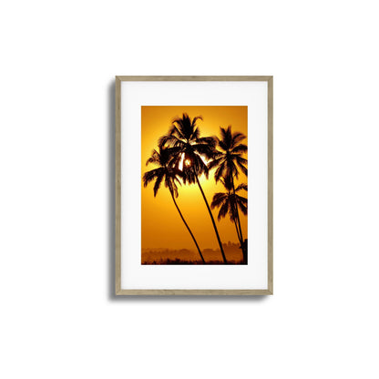 Palm Silhouettes at Sunset Framed Art