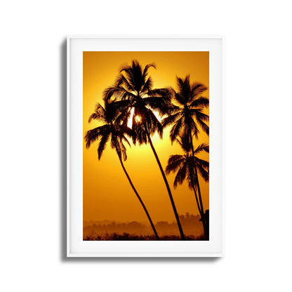 Palm Silhouettes at Sunset Framed Art
