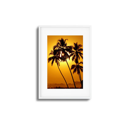 Palm Silhouettes at Sunset Framed Art