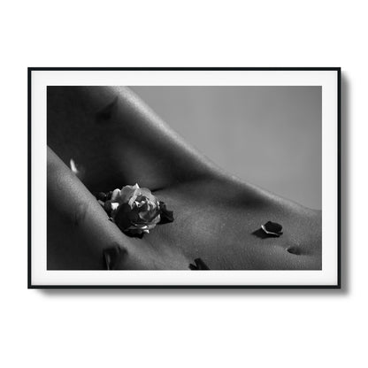 Petals on Skin Framed Art - Assure Spark