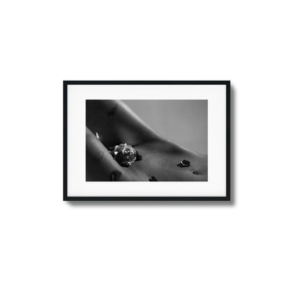 Petals on Skin Framed Art