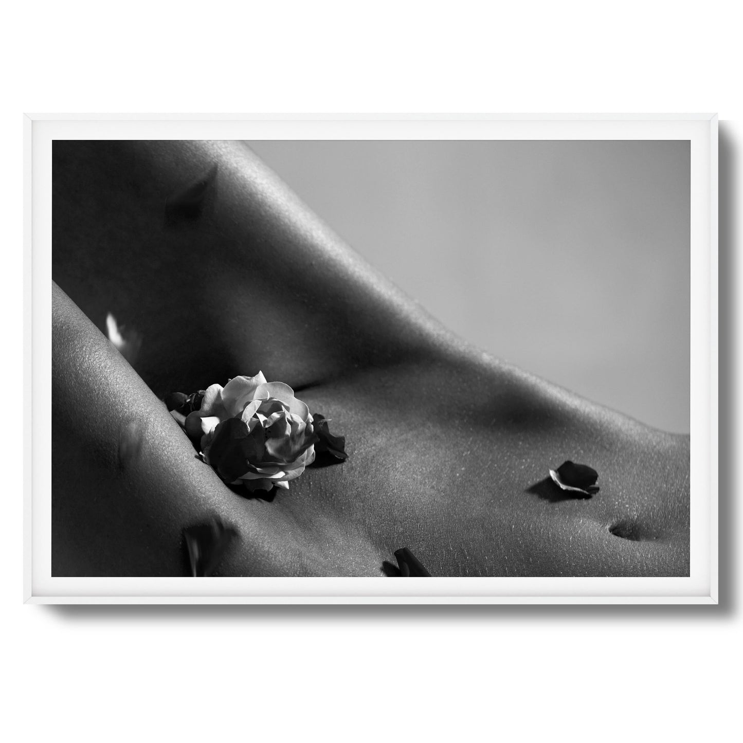 Petals on Skin Framed Art