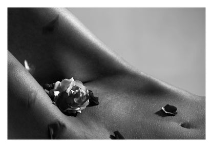 Petals on Skin Framed Art