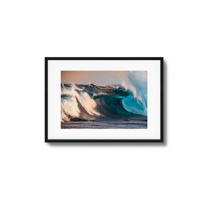 Reef Framed Art