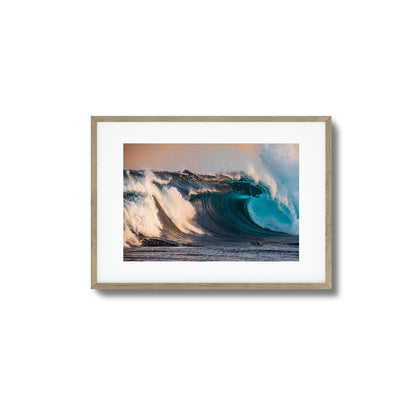 Reef Framed Art
