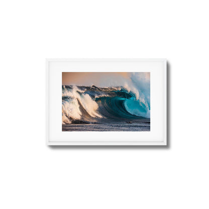 Reef Framed Art