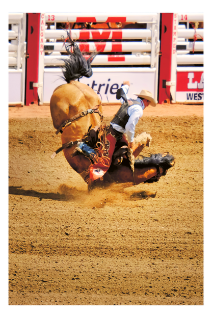 Rodeo Bravery Framed Art