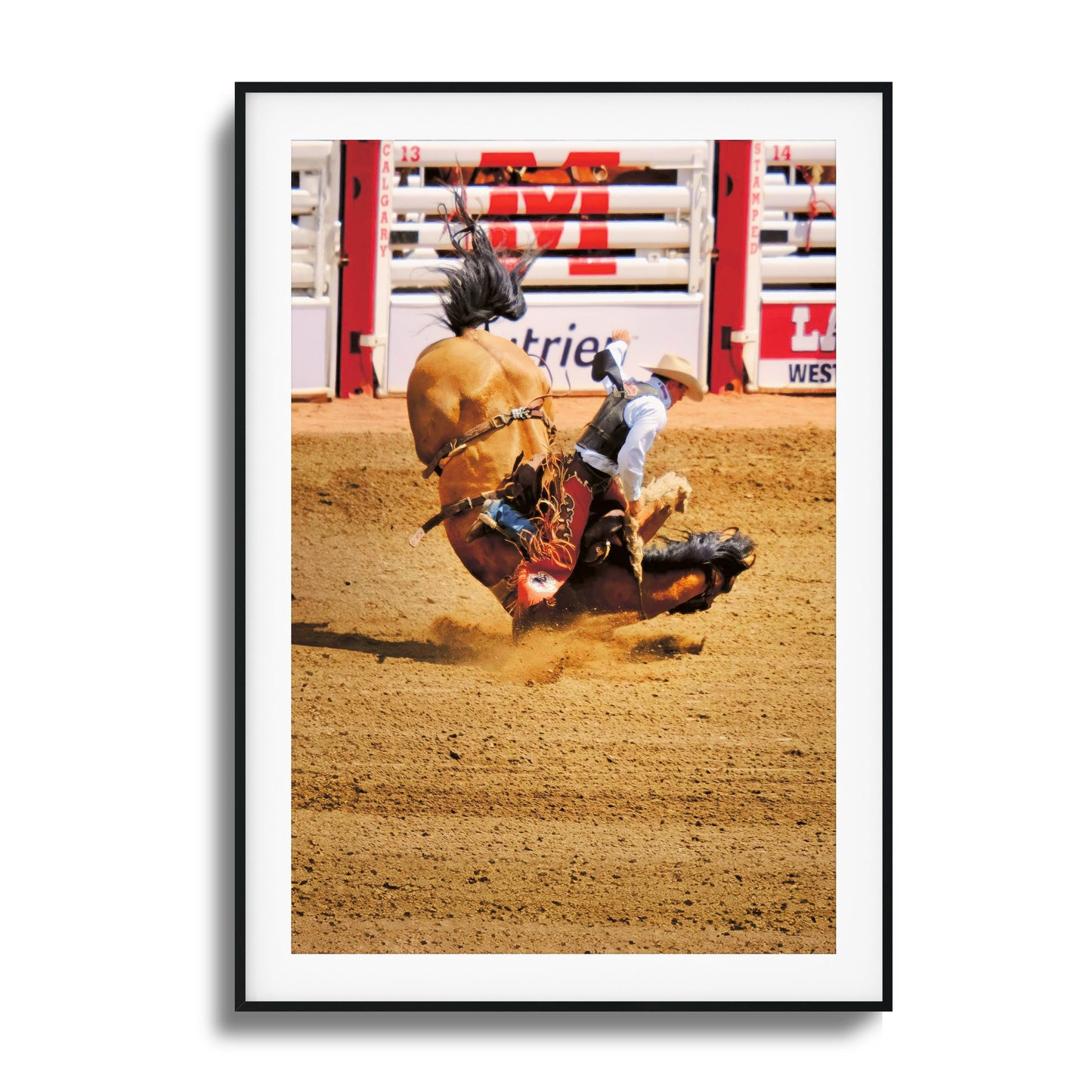 Rodeo Bravery Framed Art - Assure Spark