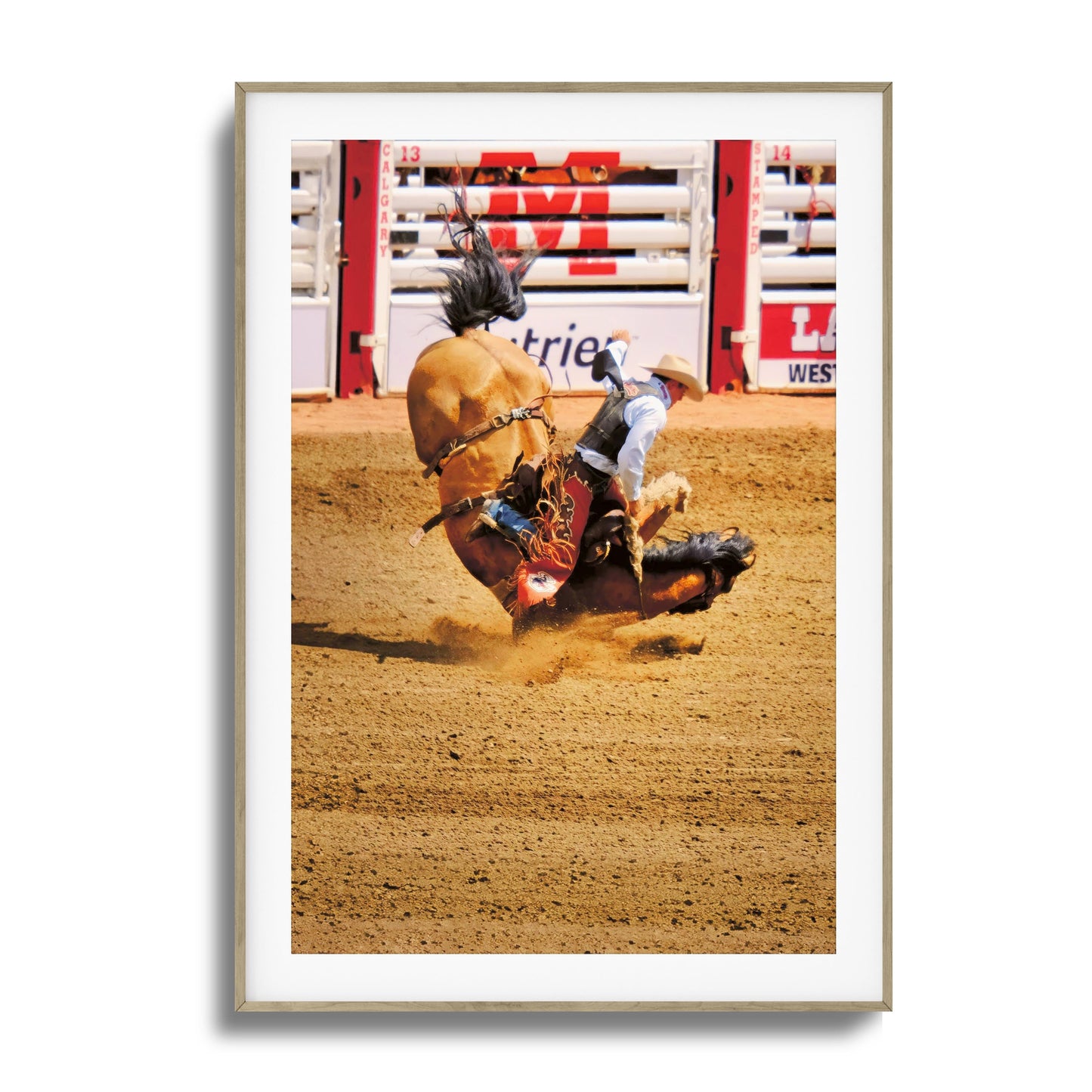 Rodeo Bravery Framed Art