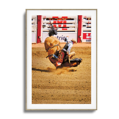 Rodeo Bravery Framed Art