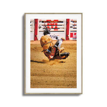 Rodeo Bravery Framed Art