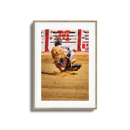 Rodeo Bravery Framed Art