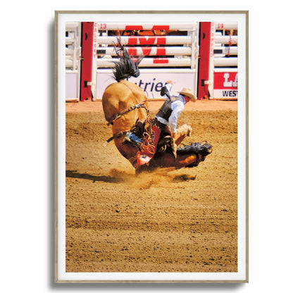 Rodeo Bravery Framed Art