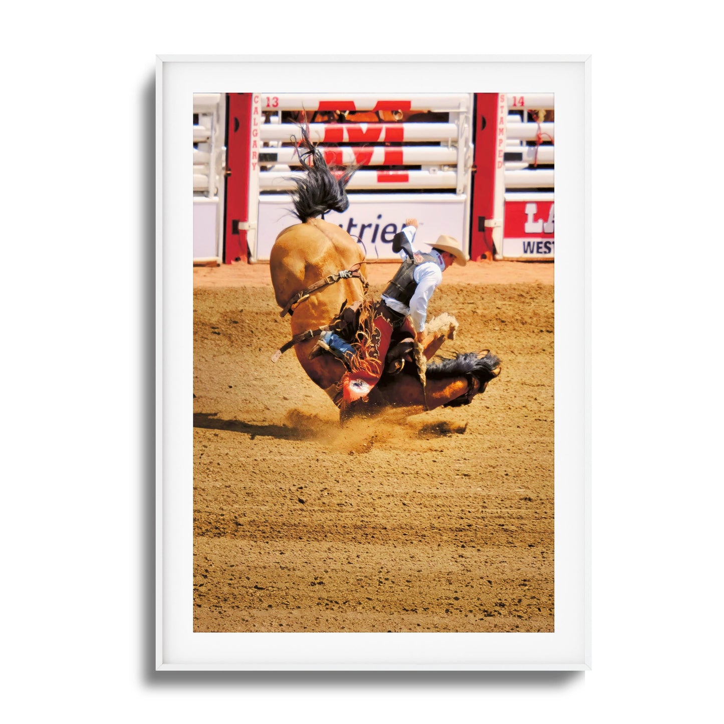 Rodeo Bravery Framed Art